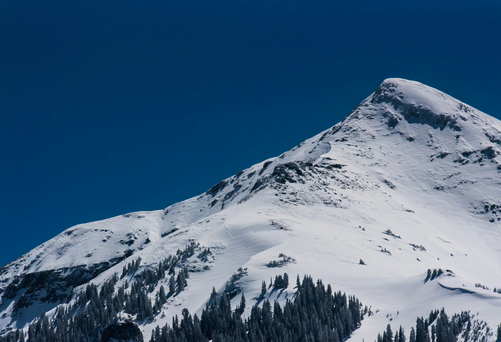 Colorado social media